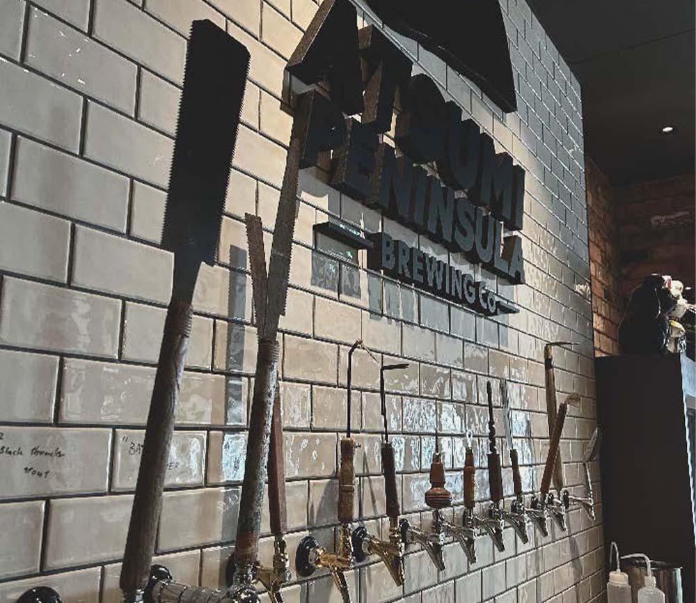 ATSUMI PENINSULA BREWING ATSUMI BREW PUB